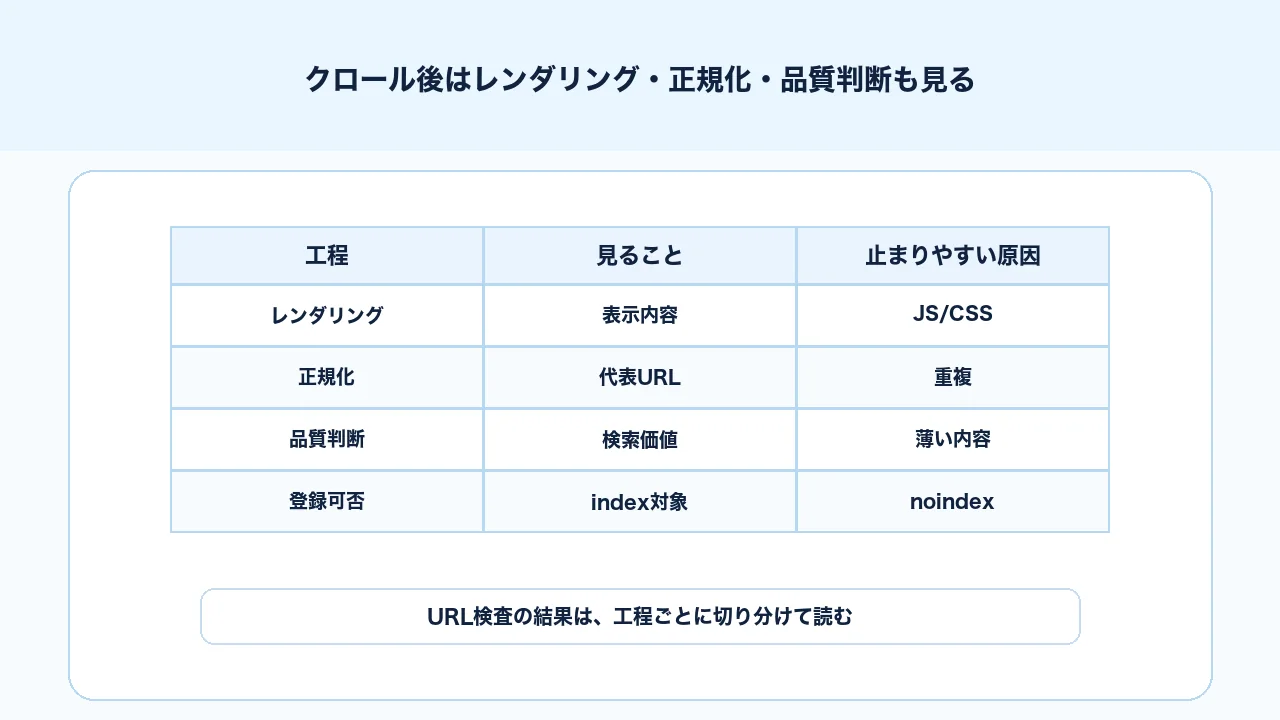 クロール後にレンダリング、正規化、品質判断を分けて確認するSEO図解